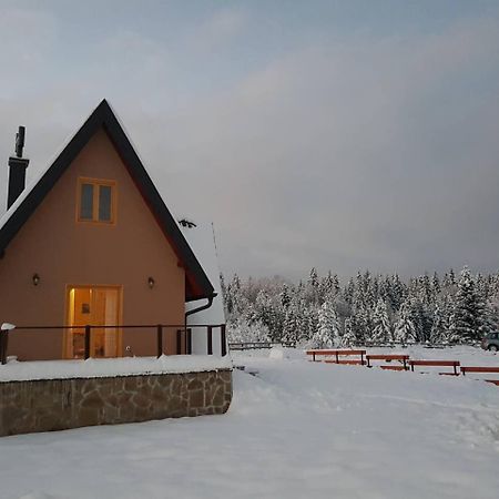 Villa Mountain House Popovic Tara Bajina Basta Exterior foto