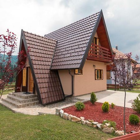 Villa Mountain House Popovic Tara Bajina Basta Exterior foto